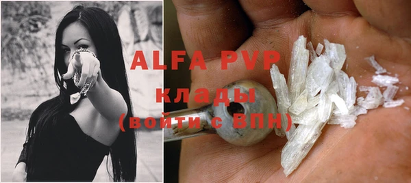 ECSTASY Алзамай