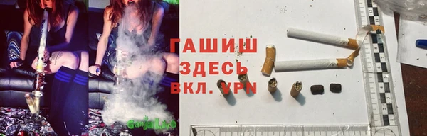 ECSTASY Алзамай