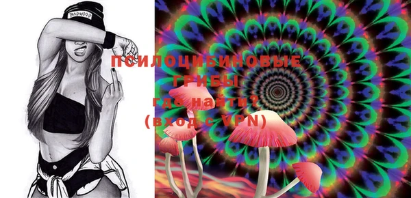 ECSTASY Алзамай