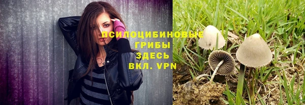 кокаин колумбия Алексин