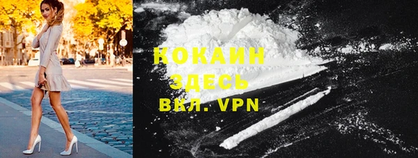 ECSTASY Алзамай