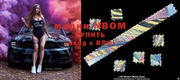 ECSTASY Алзамай