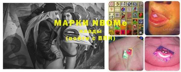 ECSTASY Алзамай